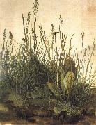 Albrecht Durer The Great Ture painting